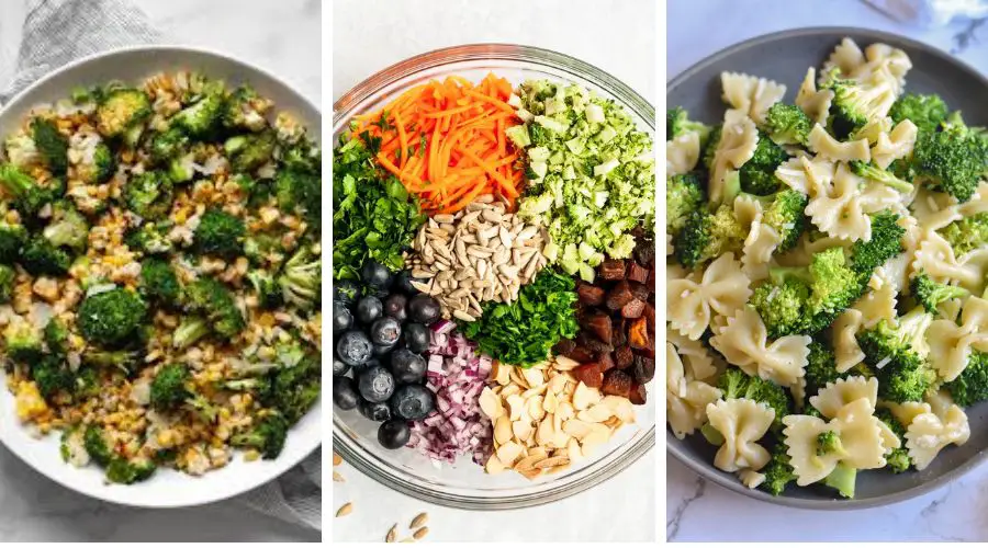 summer broccoli recipes