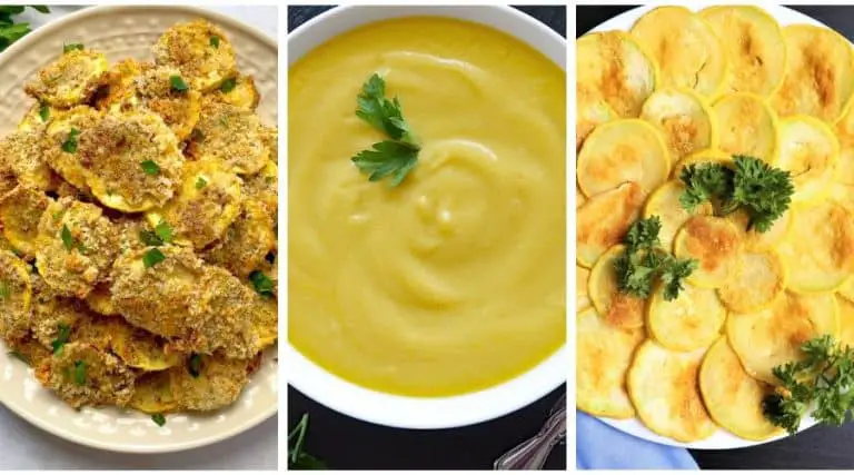 summer squash vegetarian recipes
